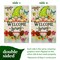 G128 Holiday Gnomes Set 10pc Garden Flag 12x18 In Double Sided All Season Yard Garden Lawn Decoration